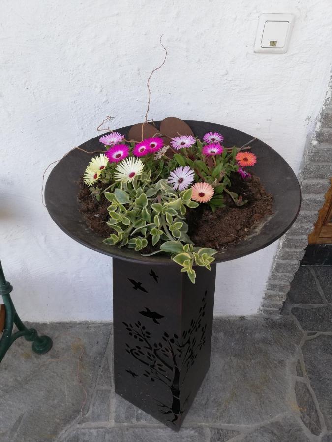 Fruehstueckspension Alpenrose Bed & Breakfast Iselsberg Exterior foto