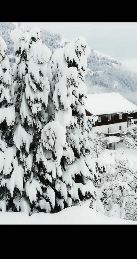 Fruehstueckspension Alpenrose Bed & Breakfast Iselsberg Exterior foto